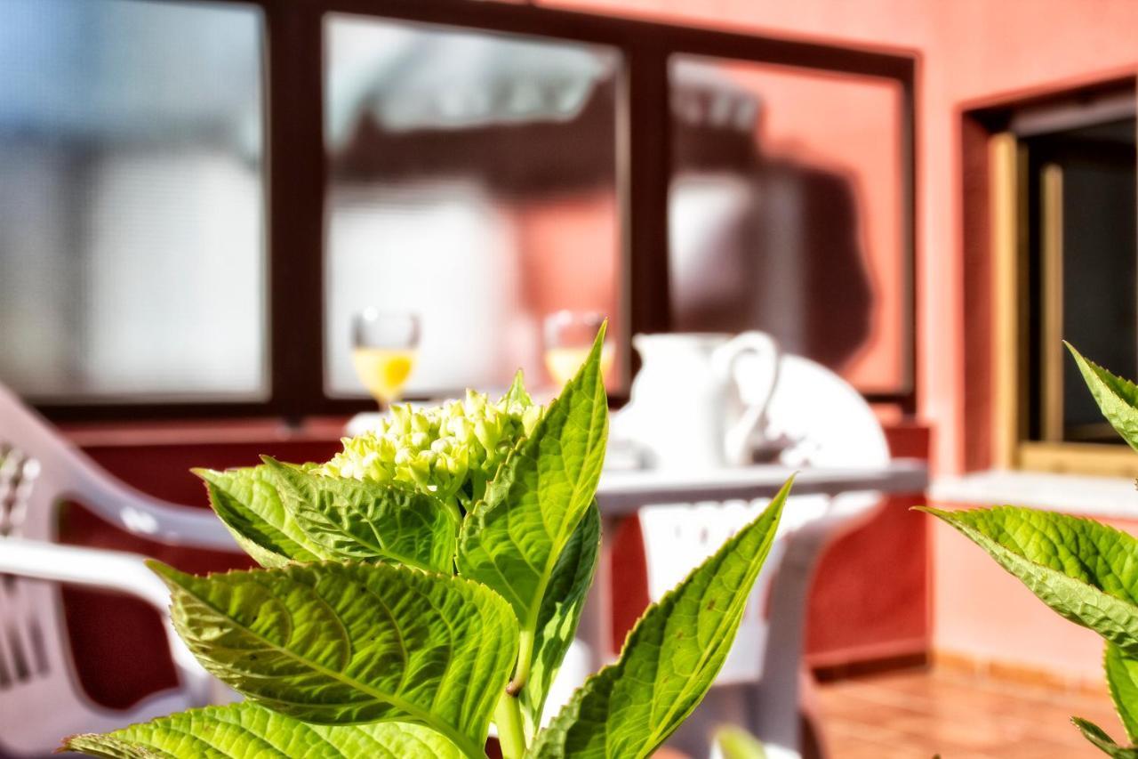 Hotel Covadonga Onís Екстериор снимка